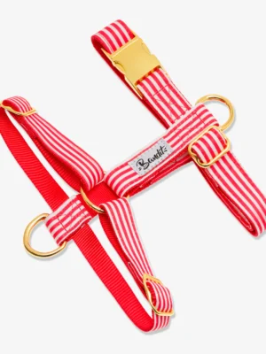 Harnais Confort pour Chat