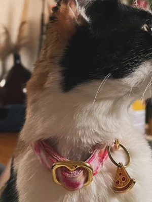 Médaille Personnalisée